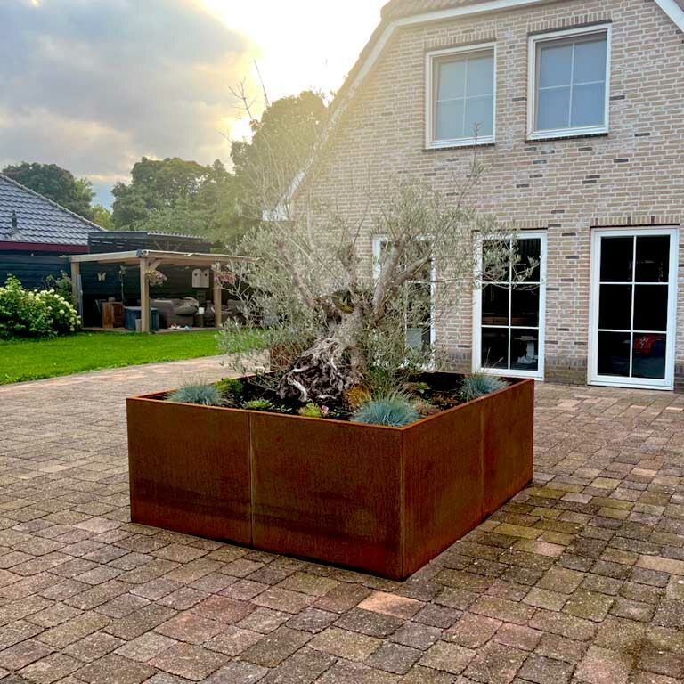 Květináč z cortenové oceli Miami xxl 240 x 240 cm