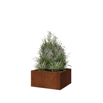 Květináč z cortenové oceli - Čtverec - 60 x 60 x 30 cm - Bez základové desky