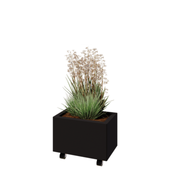 Ocelový květináč - Obdélník - 50 x 30 x 30 cm - RAL9005 matný (černý) - Se základovou deskou - S kolečky