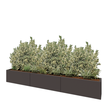 Ocelový květináč XXL - Obdélník - 300 x 30 x 40 cm - RAL7016 matný (antracitově šedá) - Se základovou deskou