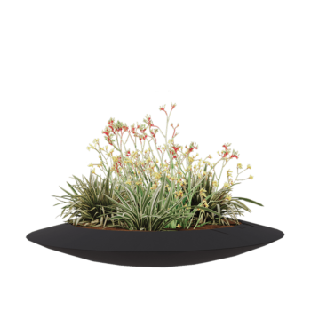 Sklolaminátový květináč - Mísa - Ø 120 x 20 cm - RAL 7021 matná (černá šedá) - Se dnem