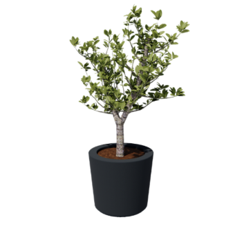 Sklolaminátový květináč - Kuželovitý - Ø 63 x 52 cm - RAL 7021 matná (černá šedá) - Se dnem