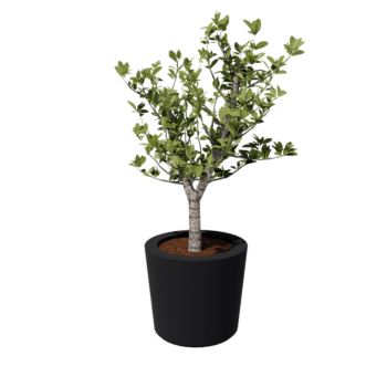 Sklolaminátový květináč - Kuželovitý - Ø 63 x 52 cm - RAL 7021 matná (černá šedá) - Se dnem