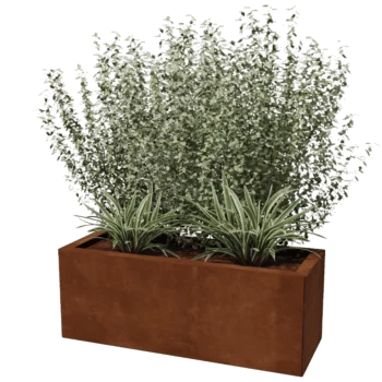 Květináč z cortenové oceli - Obdélník - 30 x 80 cm