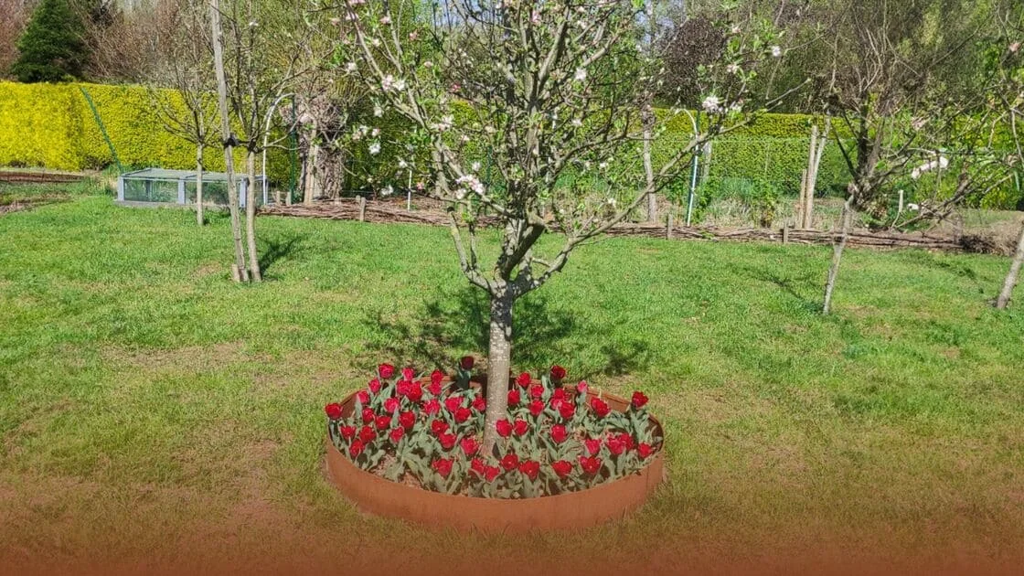 Jak vytvořit okraj kolem stromu?